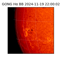 gong - 2024-11-19T22:00:02