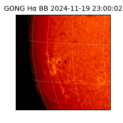 gong - 2024-11-19T23:00:02