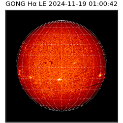 gong - 2024-11-19T01:00:42