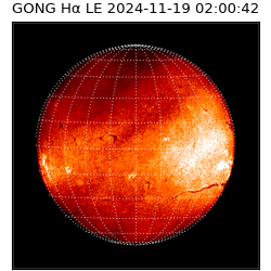 gong - 2024-11-19T02:00:42