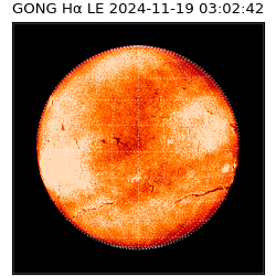 gong - 2024-11-19T03:02:42