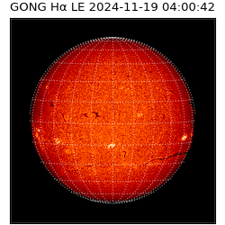 gong - 2024-11-19T04:00:42