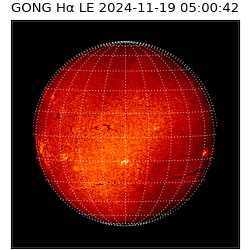 gong - 2024-11-19T05:00:42