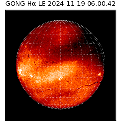 gong - 2024-11-19T06:00:42