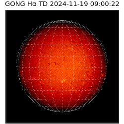 gong - 2024-11-19T09:00:22