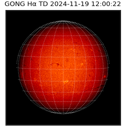 gong - 2024-11-19T12:00:22