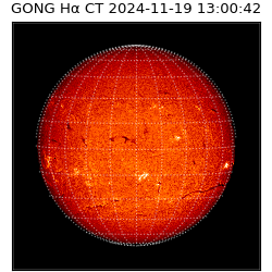 gong - 2024-11-19T13:00:42