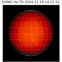 gong - 2024-11-19T14:22:22