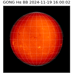 gong - 2024-11-19T16:00:02