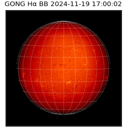 gong - 2024-11-19T17:00:02
