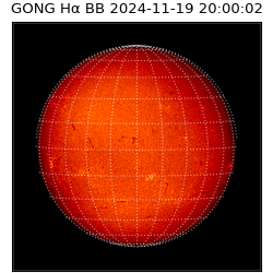 gong - 2024-11-19T20:00:02