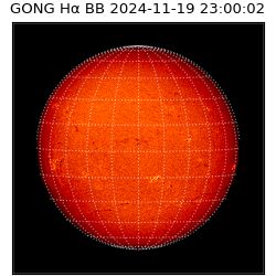 gong - 2024-11-19T23:00:02