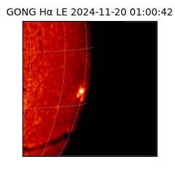 gong - 2024-11-20T01:00:42