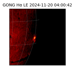 gong - 2024-11-20T04:00:42