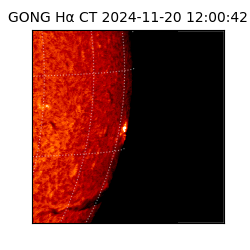 gong - 2024-11-20T12:00:42