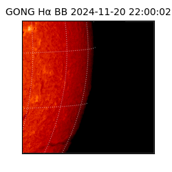 gong - 2024-11-20T22:00:02