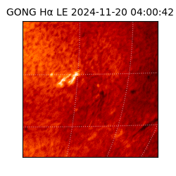 gong - 2024-11-20T04:00:42