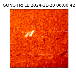 gong - 2024-11-20T06:00:42