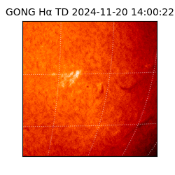 gong - 2024-11-20T14:00:22