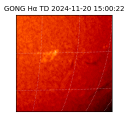 gong - 2024-11-20T15:00:22