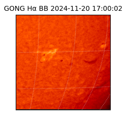 gong - 2024-11-20T17:00:02