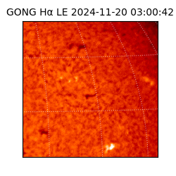 gong - 2024-11-20T03:00:42