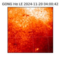 gong - 2024-11-20T04:00:42