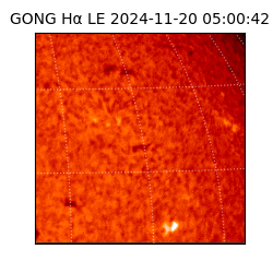 gong - 2024-11-20T05:00:42