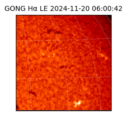 gong - 2024-11-20T06:00:42
