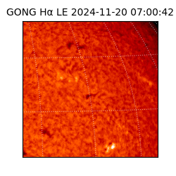 gong - 2024-11-20T07:00:42