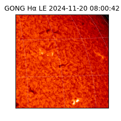 gong - 2024-11-20T08:00:42