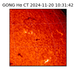 gong - 2024-11-20T10:31:42