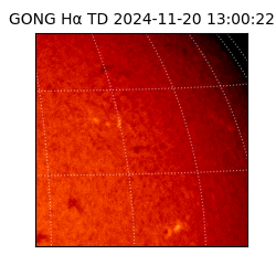 gong - 2024-11-20T13:00:22