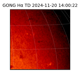 gong - 2024-11-20T14:00:22