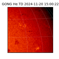 gong - 2024-11-20T15:00:22