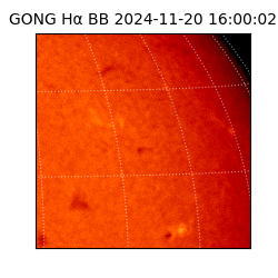 gong - 2024-11-20T16:00:02