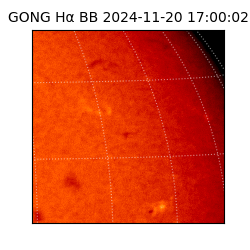 gong - 2024-11-20T17:00:02