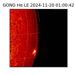 gong - 2024-11-20T01:00:42