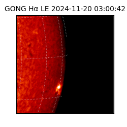 gong - 2024-11-20T03:00:42