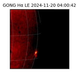 gong - 2024-11-20T04:00:42