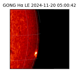 gong - 2024-11-20T05:00:42