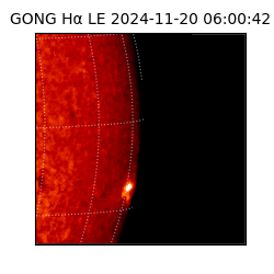 gong - 2024-11-20T06:00:42