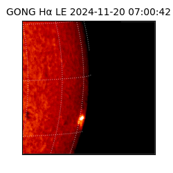 gong - 2024-11-20T07:00:42