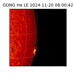 gong - 2024-11-20T08:00:42