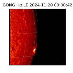 gong - 2024-11-20T09:00:42