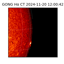 gong - 2024-11-20T12:00:42