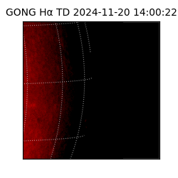 gong - 2024-11-20T14:00:22