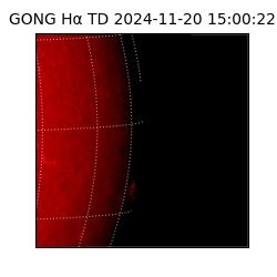 gong - 2024-11-20T15:00:22