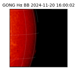 gong - 2024-11-20T16:00:02