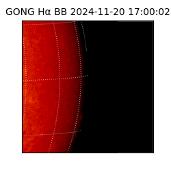 gong - 2024-11-20T17:00:02